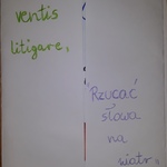 3 miejsce w kategorii klas 7 8 SPb