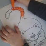 Kot z pomarańczowym ogonem