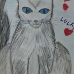 Portret kota rysowany ołówkiem
