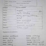Uczniowie dopasowują znaczenia do archaizmów