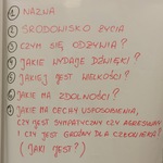 Lista pytań do pracy plastycznej