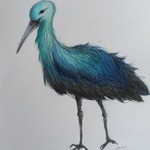 Portret niebieskiego bociana
