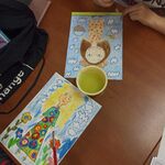 Prezentacja skończonych prac