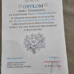 Dyplom Izy
