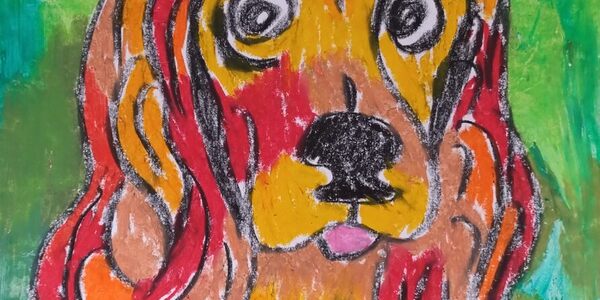portret kolorowego kundelka