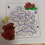 Droga jeża do grzybów - labirynt