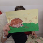 Portret jeża na zielonej trawce
