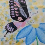 Motyl na kwiatku