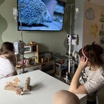 Dzieci oglądają film o jeżach