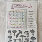 Grzybowe wykreślanki