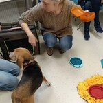 Pani Zosia na lekcji dogoterapii z pieskiem
