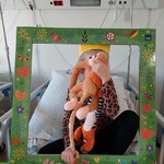 Dziecko pozuje w koronie, z przytulankami i w foto ramce do zdjęcia
