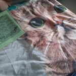 dziecko czyta ciekawostki o kotach
