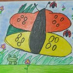 Portret żółto - pomarańczowego motyla