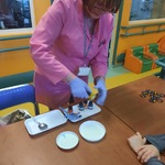 doświadczenie segregacji grawitacyjnej