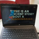 Uczniowie oglądają filmik historię o kolibrze