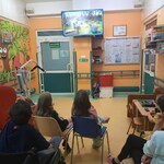 uczestnicy oglądają film edukacyjny o pszczołach