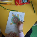 thumbnail_IMG_20250522_114233820.jpg
