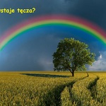 Tło