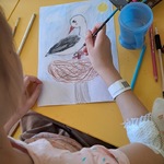 Uczennica maluje bociana w gnieździe