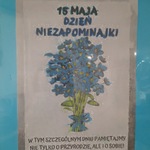 plakat o dniu niezapominajki