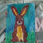 Królik z żółtym brzuszkiem