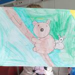 Portret miasia koala