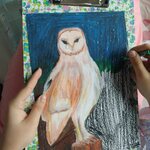 Portret sowy