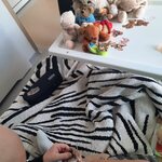 chłopiec wycina naklejkę z misiem (zajęcia indywidualne)