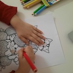 dziecko koloruje koty