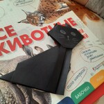 czarny kot origami