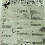 ciekawostki o kotach