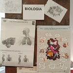 plakaty biologiczne