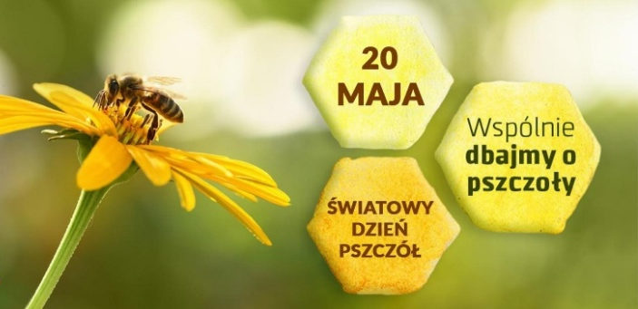 pszczoła na kwiatku i napis 20 maja światowy dzień pszczoły wspólnie dbajmy o pszczoły