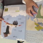 dzieci czytają wiadomosci o bocianach