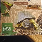 książka o płazach i gadach