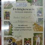 podziękowanie w formie dyplomu