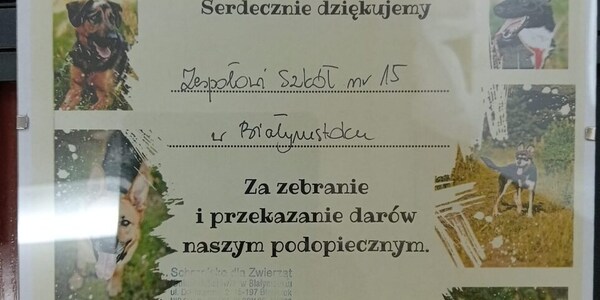 podziękowanie w formie dyplomu