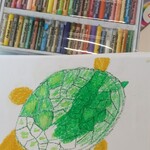 Żółw z zaznaczonymi kolorami