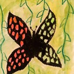 Czarny  motyl