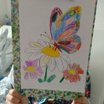 Motyl na  stokrotce