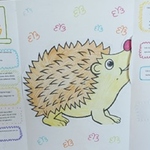 uczeń trzyma rozłożony lapbook Fakty o jeżach