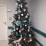 choinka ubrana w ozdoby wykonane w poprzednich latach przez dzieci z onkologii i nauczycieli ZS 15