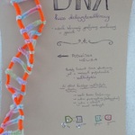 łańcuch dna z opisem