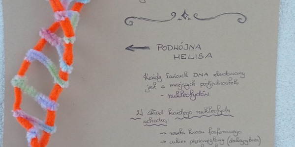 łańcuch dna z opisem