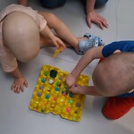 dzieci zbierają pyłek do plastra (przenoszą pomponiki za pomocą klamerek)