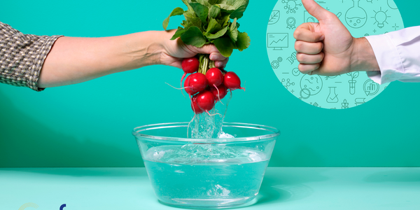 grafika z hasłem Produkty sezonowe? To wyśmienite. Higiena żywności? To już nauka. Grafika przedstawia kobiecą rękę trzymającą pęk rzodkiewek nad miską z wodą