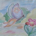 magiczny motyl