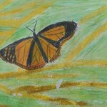 żółty motyl