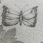 Motyl rysowany ołówkiem